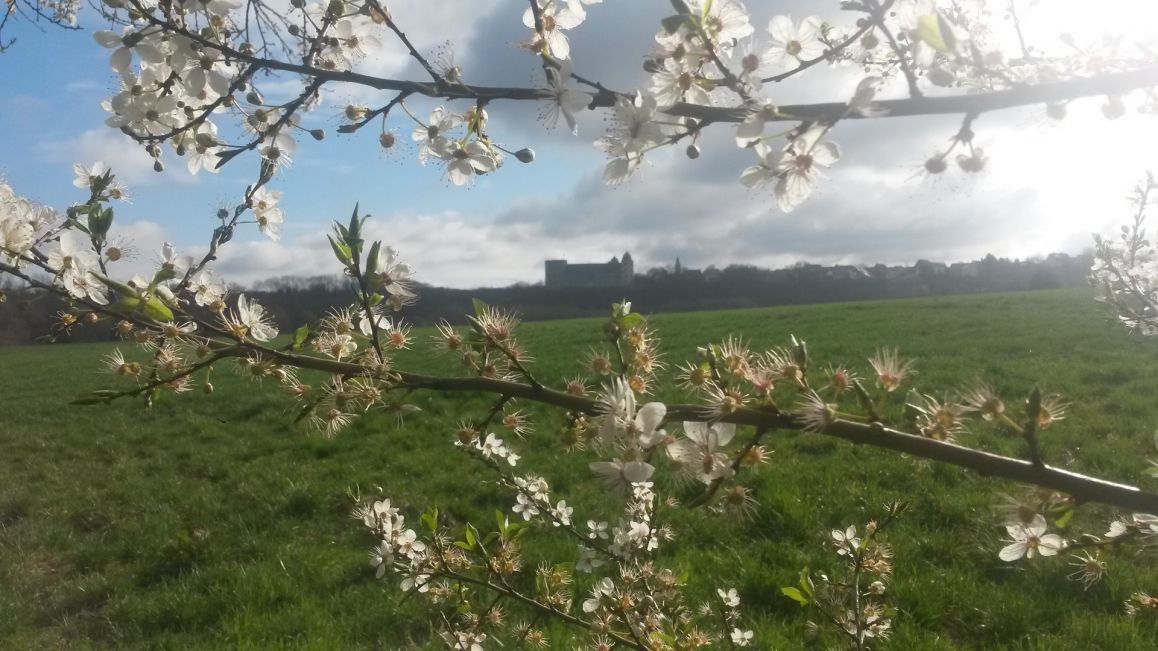 2023-03-28_Dieter Rubarth_1